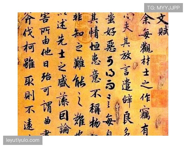 球员资格规则详解:参赛资格判定及常见误区解析 球员资格规则详解:参赛资格判定及常见误区解析